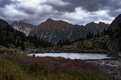Pradera de flores con un lago y montañas y nubes de fondo